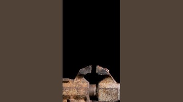 Gummy Bear Burning ASMR