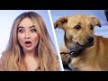 Sabrina Carpenter responde preguntas de sus fans mientras juega con perritos
