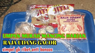 UMPAN IKAN MAS RAJA UDANG GACOR |Umpan simpel murah mancing harian Anti boncos