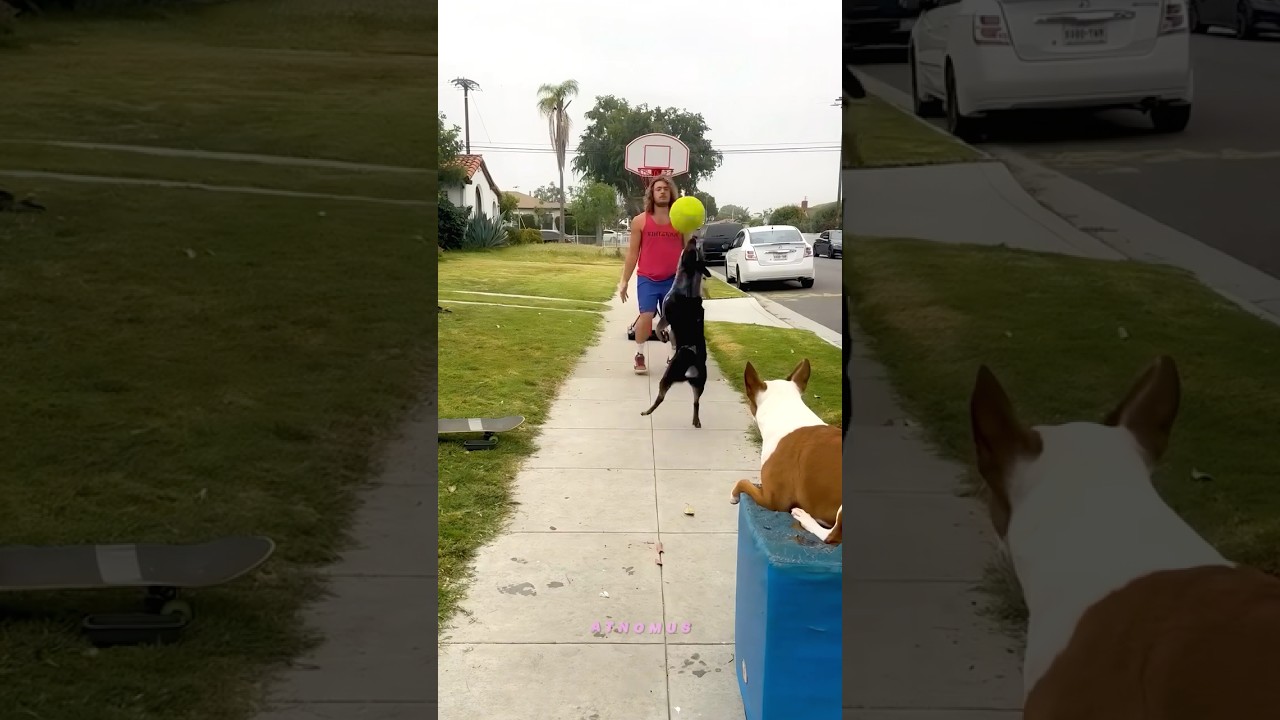 He Is Better At Basketball Than Me 😭❤️‍🩹
