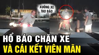 Hổ Báo Thách Thức Tạt Đầu Xe Oto Nguy Hiểm Và Cái Kết Viên Mãn Tô Tin Tức 