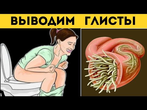 Video: Гуарнери жаңгагы - ички дизайндагы жана эмеректеги жаңыдан жасалган көлөкө