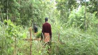 The ADMIRER  Trailer