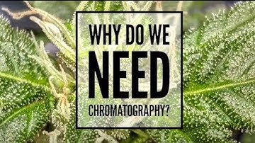 No Holds Barred!: Chromatography Explained