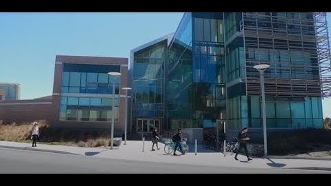 Why CSUMB College of Business is the Right Choice for a Degree in Business Administration
