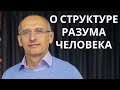 О структуре разума человека