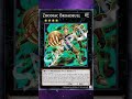 Could Broadbull Come Off The Forbidden List To Help Future Beast-Warrior Decks #ygo #discussion #new