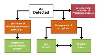 Afib: Prevention of Stroke in AFib and Atrial Flutter screenshot 5