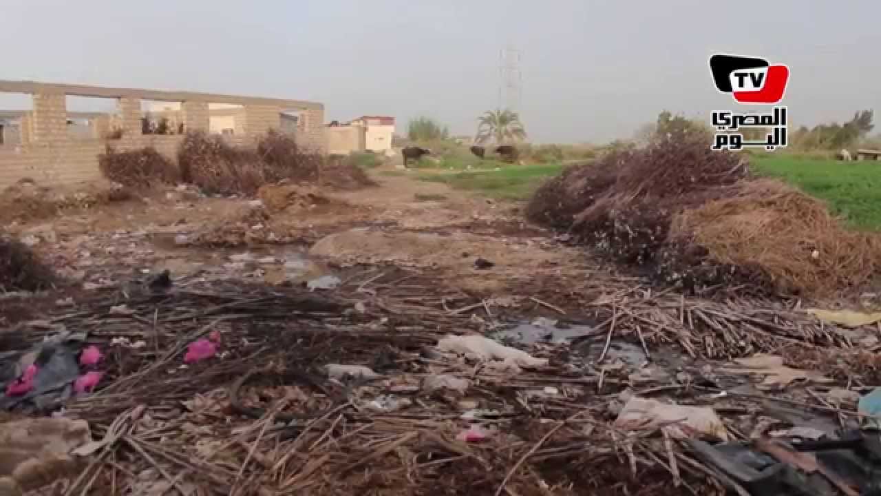 «نجع عون» قرية يتيمة.. تنكرها الإسكندرية وتهملها البحيرة