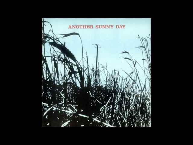 洋楽 Another Sunny Day SARAH 7 7inch Another Sunny Day – What's Happened? – Vinyl (7