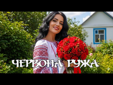 Червона ружа Нове дихання легендарної пісні Сучасна українська музика 2025