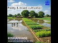 Paddy & mixed cultivation