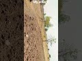 my small village