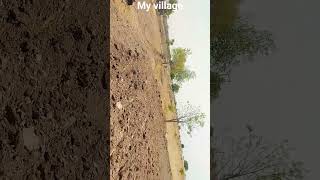 my small village