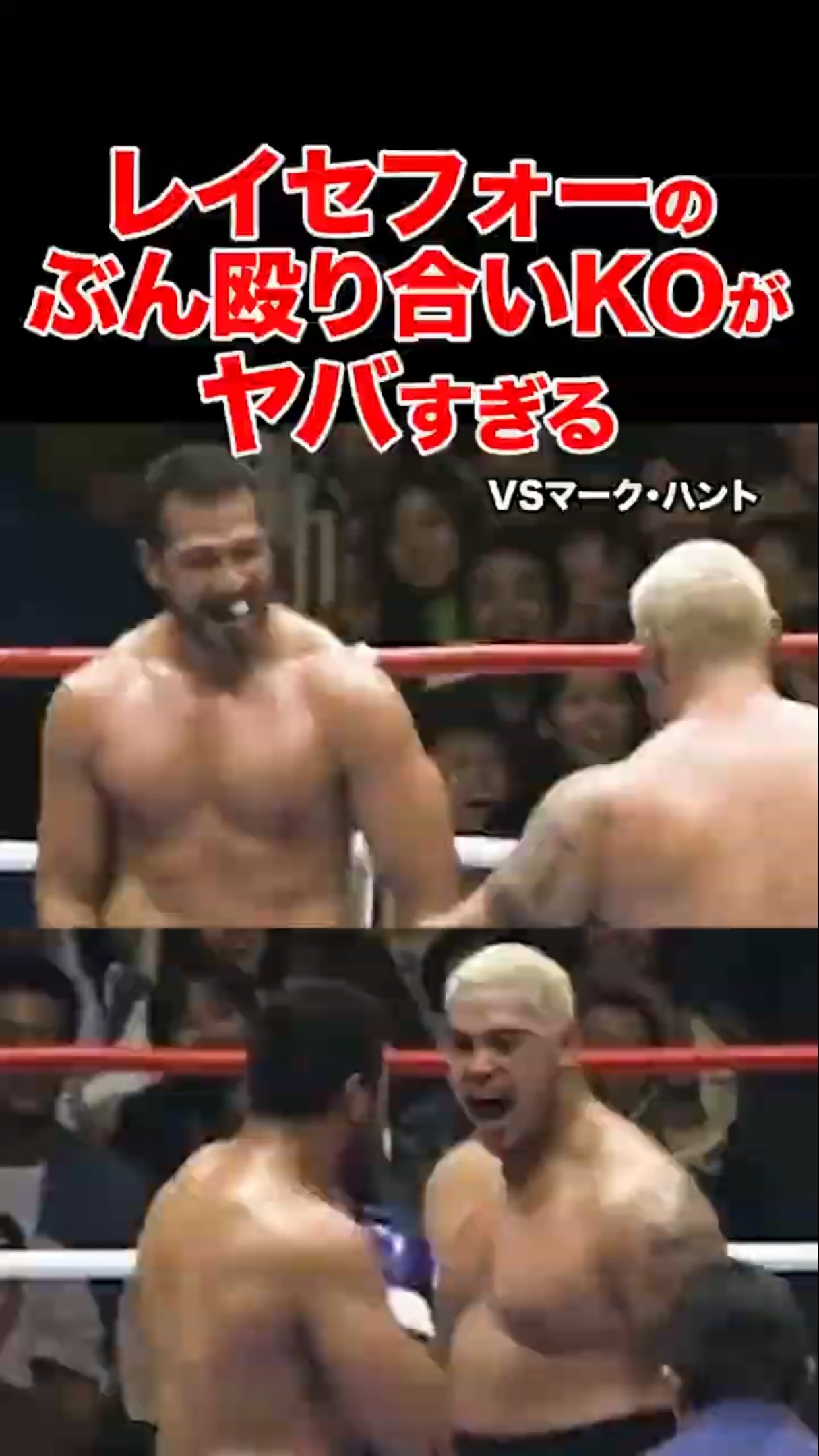 レイ・セフォーに挑んだ男たちの残酷な末路 #shorts #k1 #格闘技 #ko