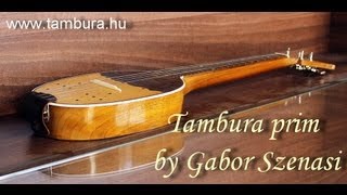 Video thumbnail of "Tambura prim by Gabor Szenasi"