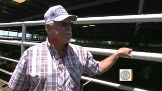 Texas-sized drought worst in history