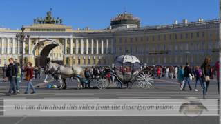 Footage. ST. PETERSBURG, RUSSIA - JULY 9, 2016: People visit the Palace Square.