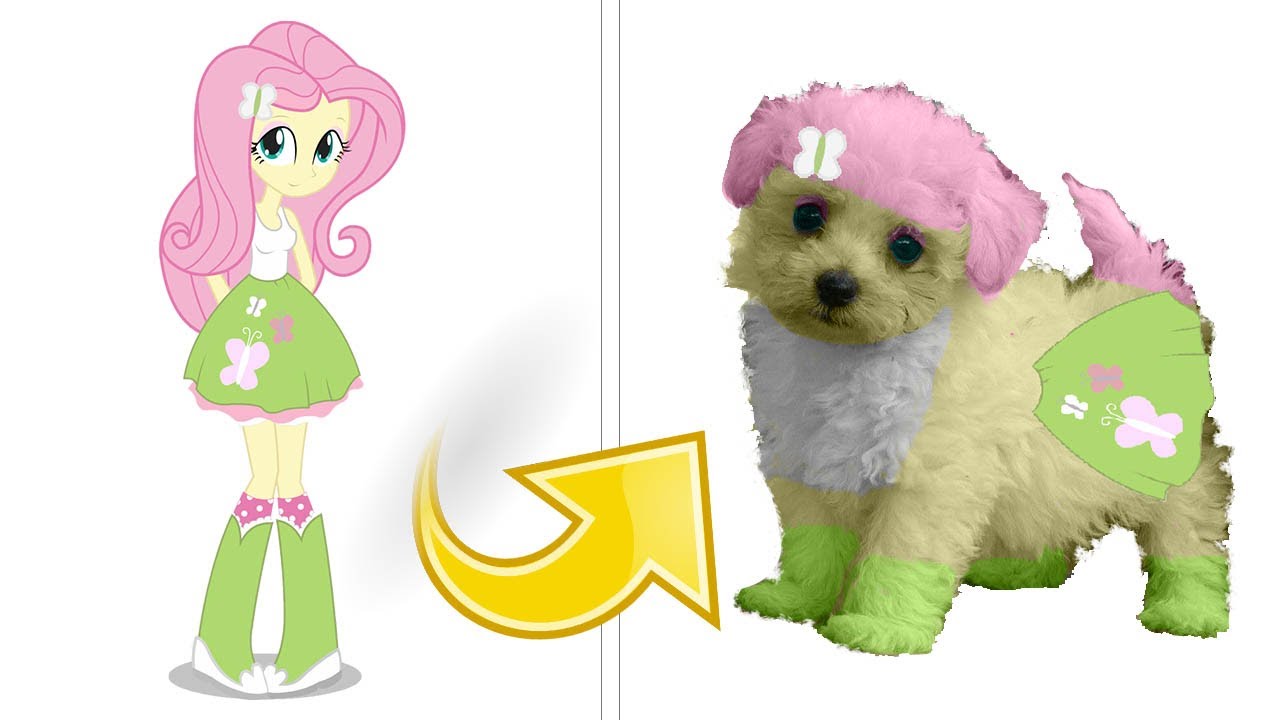 Equestria Girls Fluttershy As Puppy Youtube