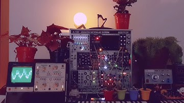 Felipe Ayres - Patch with Chord V2