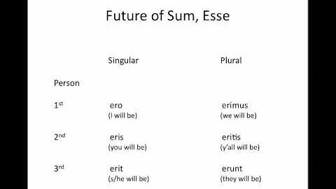 Latin 1 - Imperfect and Future of Sum, Esse.mp4
