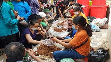 Khám Phá TỔNG CỌT Chợ Phiên Vùng Núi Cao. Du Lịch Khám Phá Chợ Phiên Cao Bằng Quê Hương Tôi