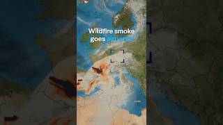 Wildfires make climate change worse | DW News