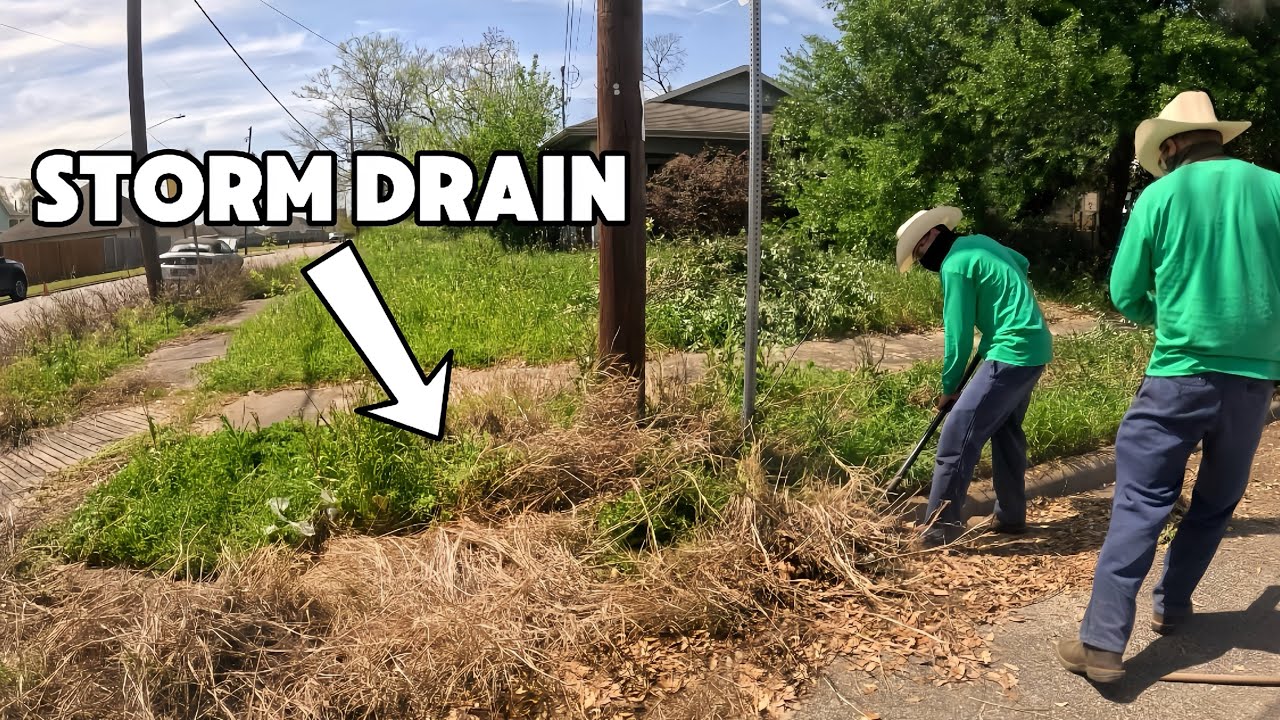 Homeowner gets out of HOSPITAL to his OVERGROWN Yard... So, We TRANSFORMED It