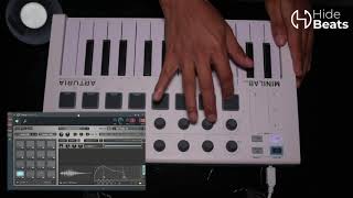 Linkin Park - In The End (Cover with Arturia minila MKII)