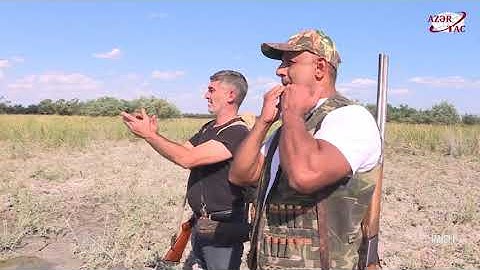 Təcrübəli və peşəkar ovçu “Qırmızı kitab”a düşən quşlara güllə atmaz – İmişlidən reportaj