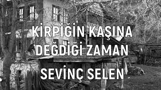 Kirpiğin Kaşına Değidiği Zaman - Sevinç Selen | Davut Sulari Resimi