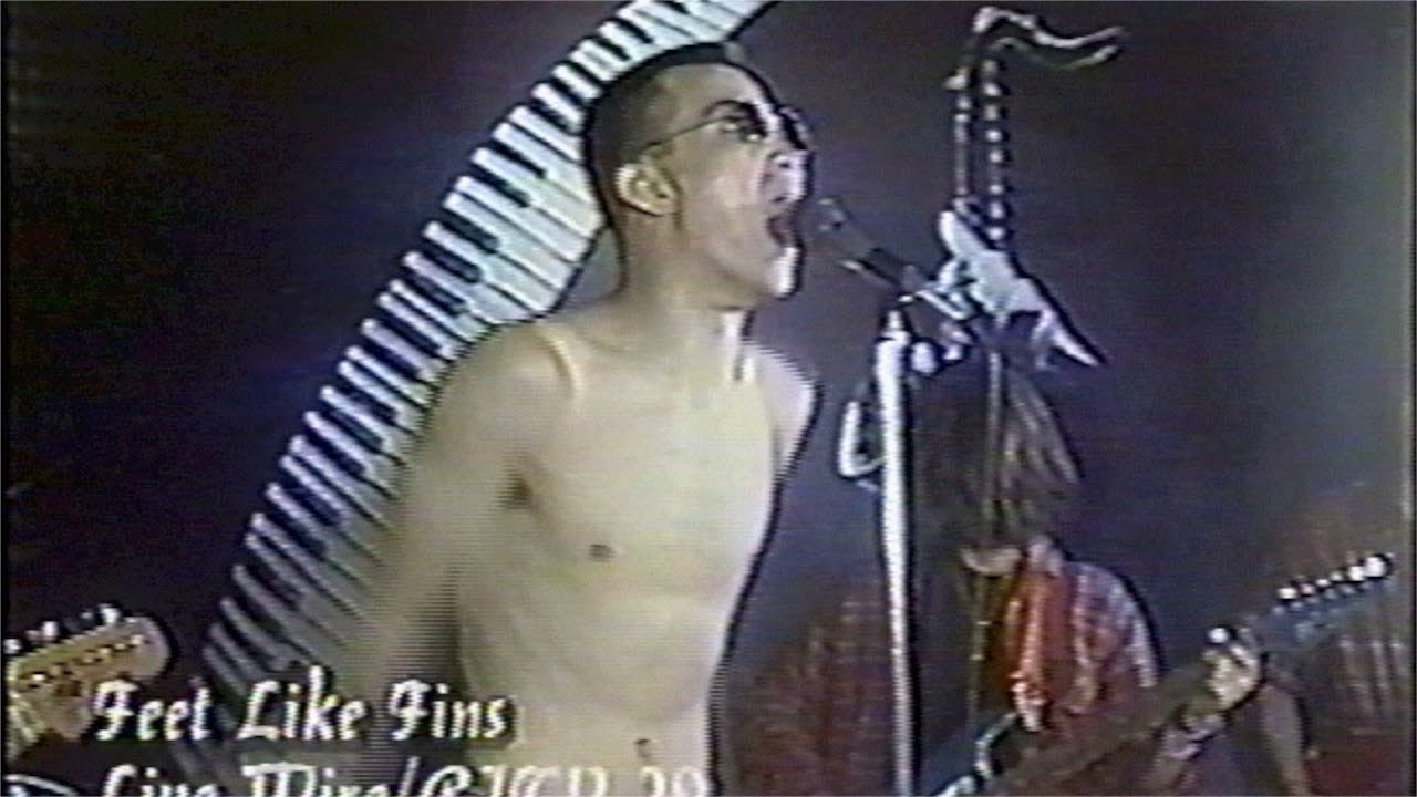 Feet Like Fins RJTV29