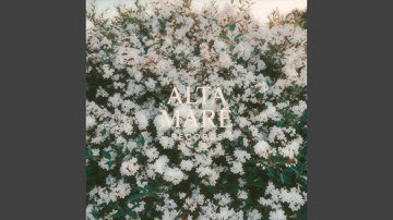 Jasmine