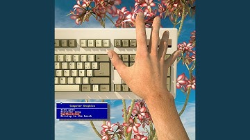 Driving To The Beach