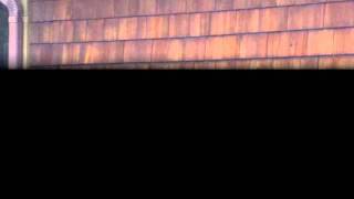 Cedar Shingles For Cape Cod