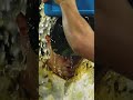 Mitch Keller gets the postgame bath 🛁