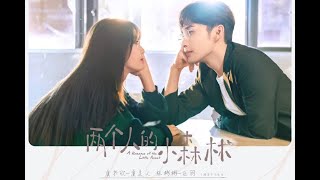 [Pinyin   Engsub] Found You - Zhang Bin Bin | OST A Romance Of The Little Forest