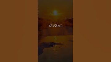 سورة القصص { ٧١ _ ٧٢ } #ياسر_الدوسري #quran #قران_كريم