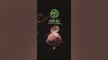 ماتيسر من سورة القيامة القارئ معاذ صيام