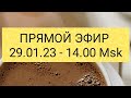 Прямой Эфир 29.01.23