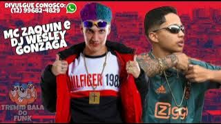 Mc Zaquin e Dj Wesley gonzaga - Ei tudo bem, como tá ( lançamento 2021 ) áudio da prévia