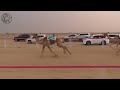 زاخر عادل بن عبيد بن مسلم الجنيبي ميدان حمراء الدروع