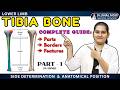 Tibia Bone Anatomy: Side Determination, Features & Anatomical Position | Part 1