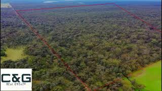 5ebbd5f3663d4377bfd5b794fd198828 original