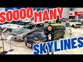 Sooo many SKYLINES as far as I can see!!!!