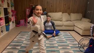 kids BJJ class at home