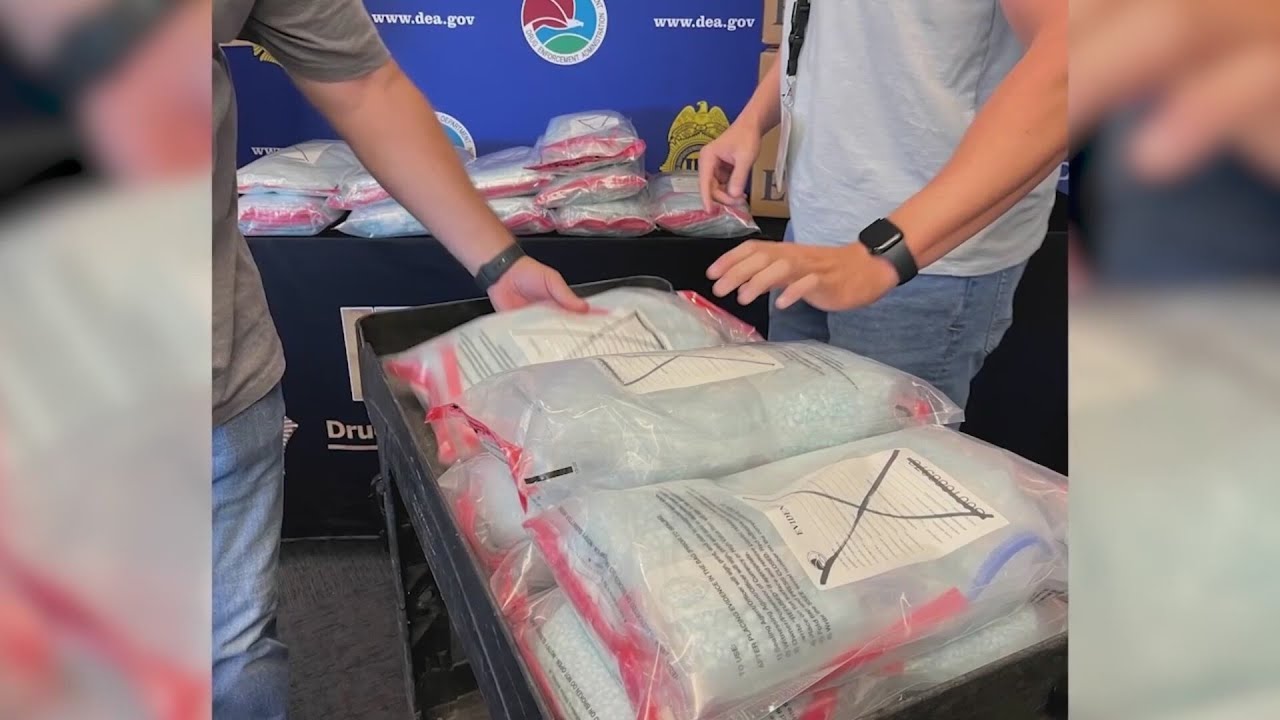 Report looks at the rising cost of fentanyl