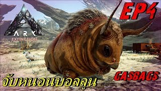 BGZ - ARK Extinction EP#4 จับหนอนบอลลูน Tame Gasbags