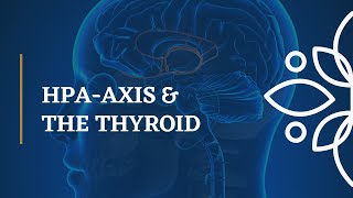 Impact of HPAAxis Dysfunction on the Thyroid, Mood and Health