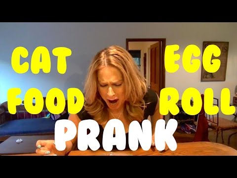 CAT FOOD EGG ROLL PRANK - Top Husband Vs Wife Pranks